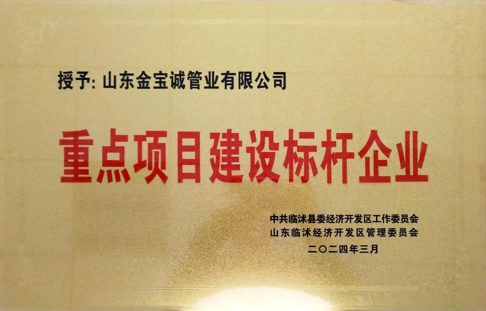 重點項目建設(shè)標桿企業(yè)